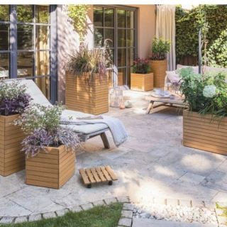 Lechuza má i květináče z eukalyptu ....tento design je naprostá bomba. 👍 Objednejte si domů anebo do firmy. Jsme plátci...