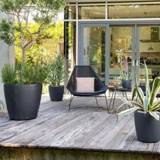 Lechuza Classico Color v podzimním hávu – nádherný květináč, který spojí styl s praktičností. Elegantní matný povrch v...